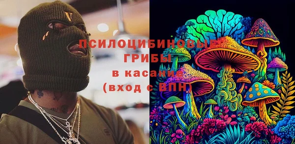 хмурый Балабаново