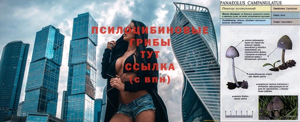 Альфа ПВП Баксан