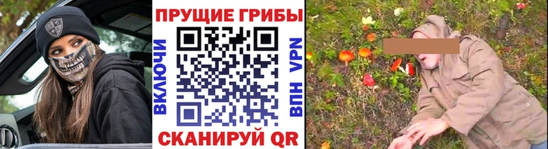 закладка Макаров мега сайт Галлюциногенные грибы Psilocybe